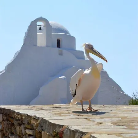 Penelope's Aldeamento Turístico *